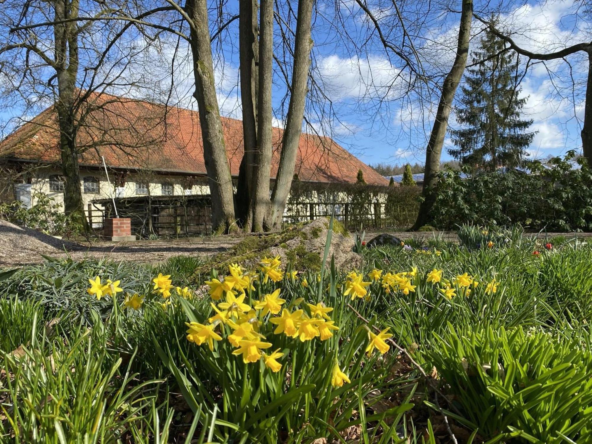 Cozy Holiday Home On A Horse Farm In The L Neburg Heath Eschede Экстерьер фото