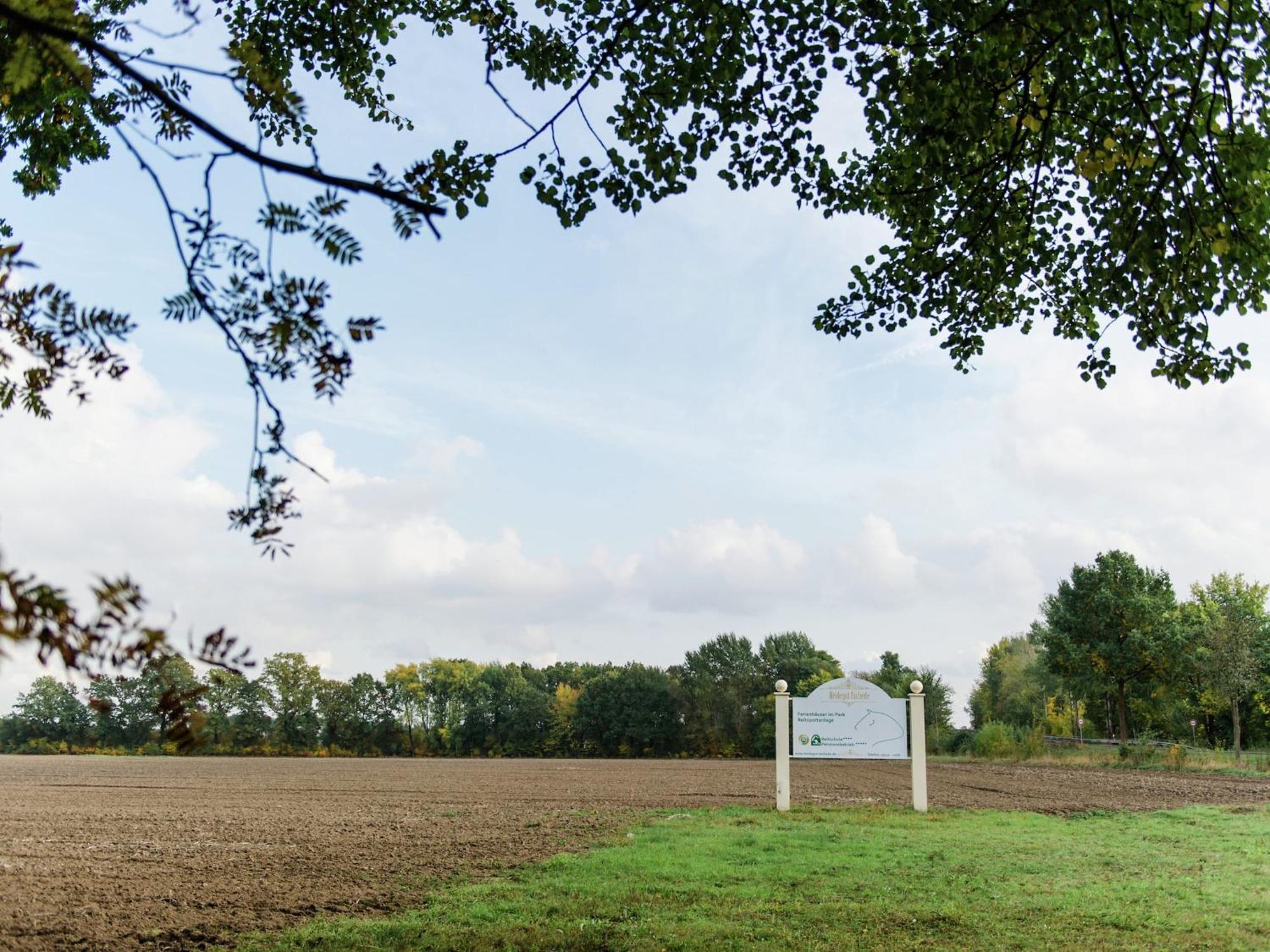 Cozy Holiday Home On A Horse Farm In The L Neburg Heath Eschede Экстерьер фото