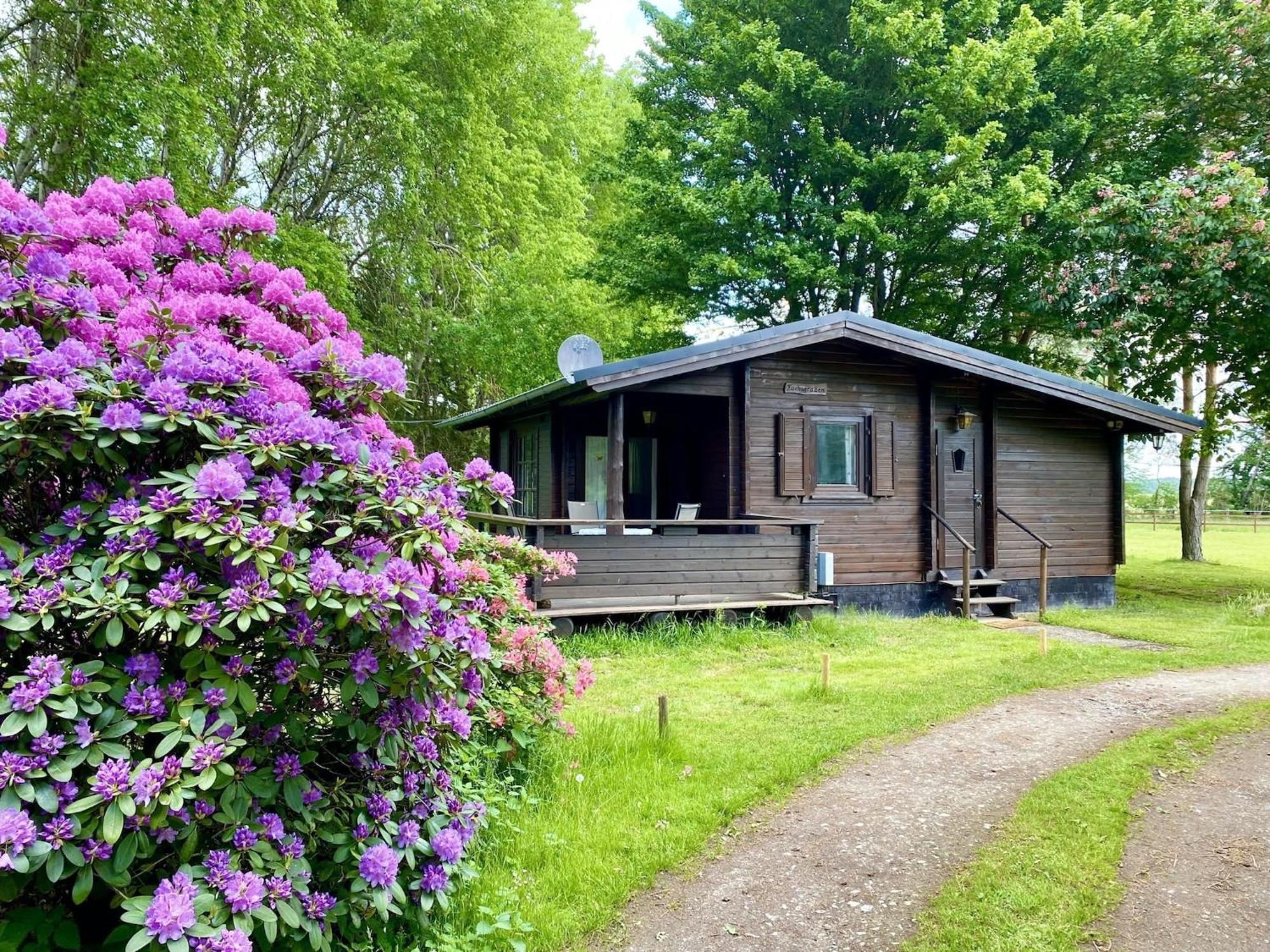 Cozy Holiday Home On A Horse Farm In The L Neburg Heath Eschede Экстерьер фото