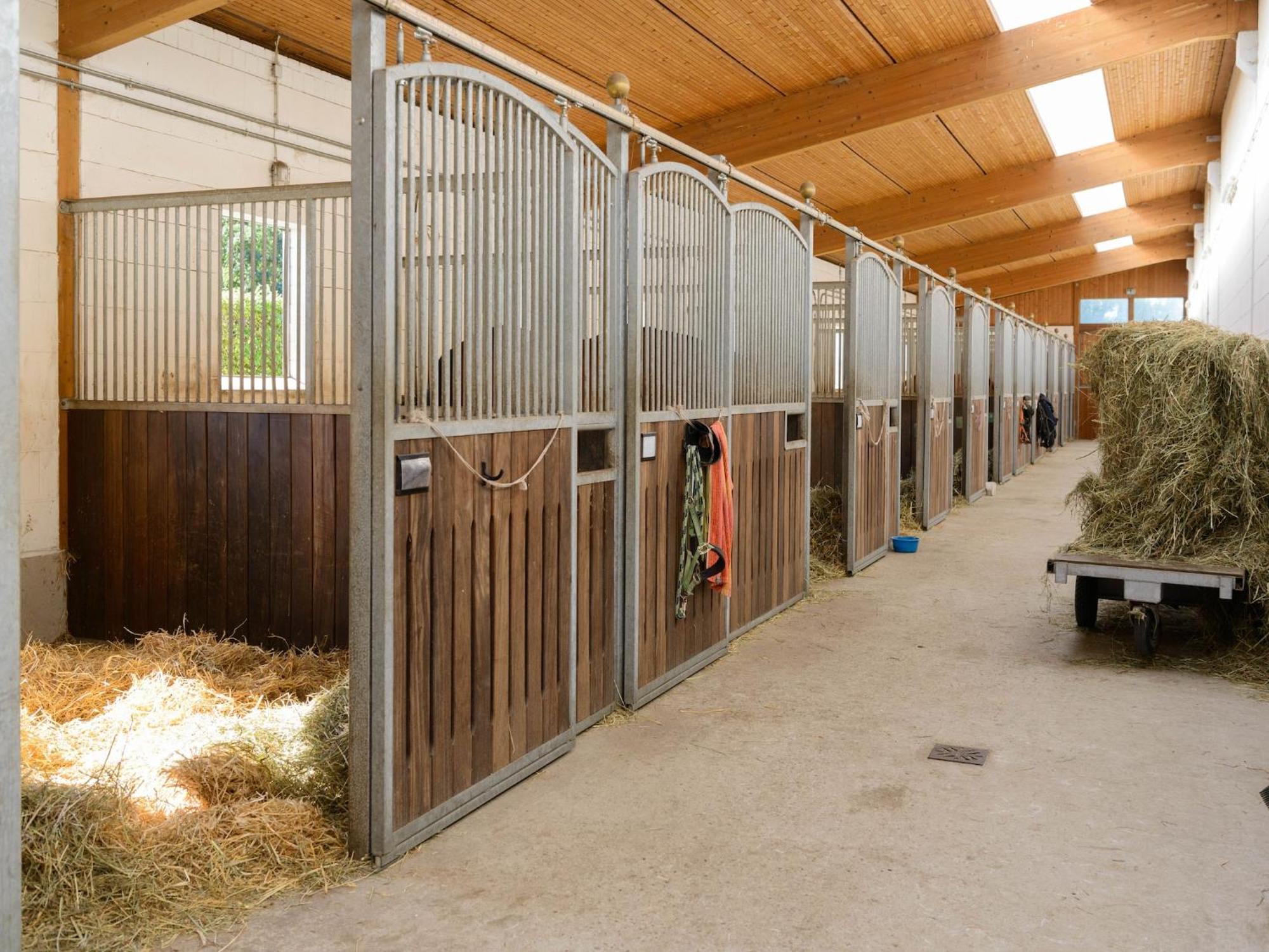 Cozy Holiday Home On A Horse Farm In The L Neburg Heath Eschede Экстерьер фото