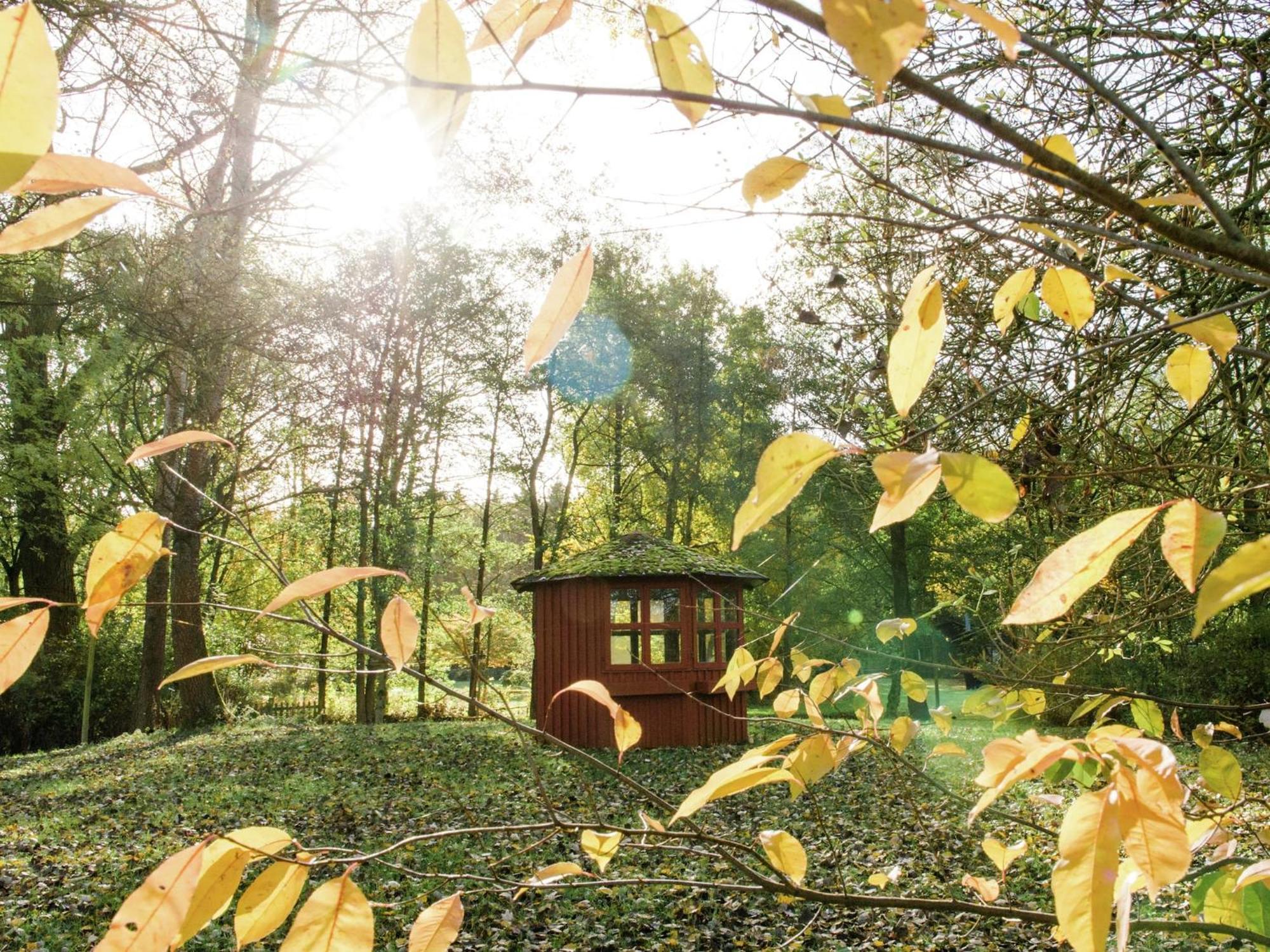 Cozy Holiday Home On A Horse Farm In The L Neburg Heath Eschede Экстерьер фото