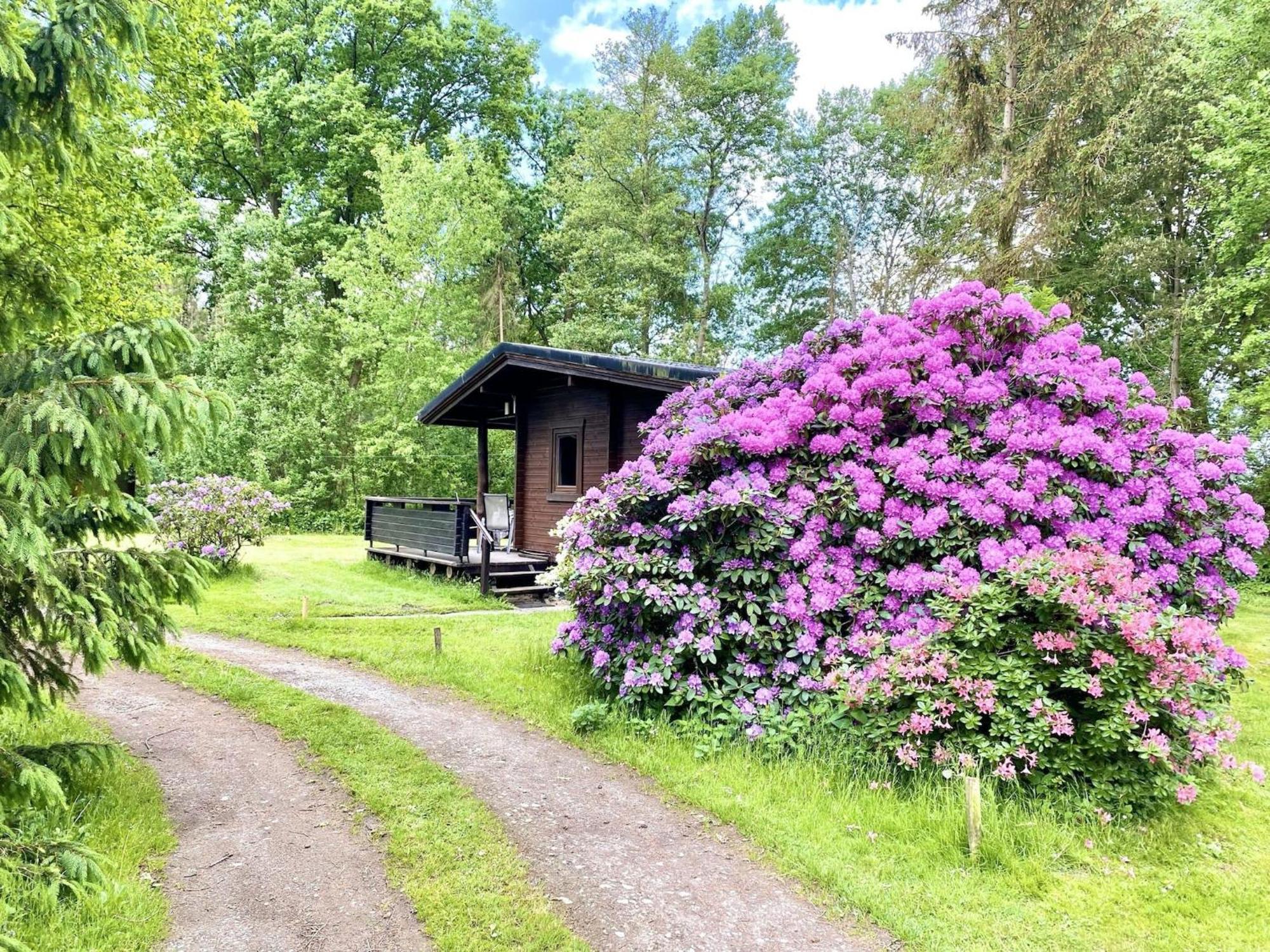 Cozy Holiday Home On A Horse Farm In The L Neburg Heath Eschede Экстерьер фото