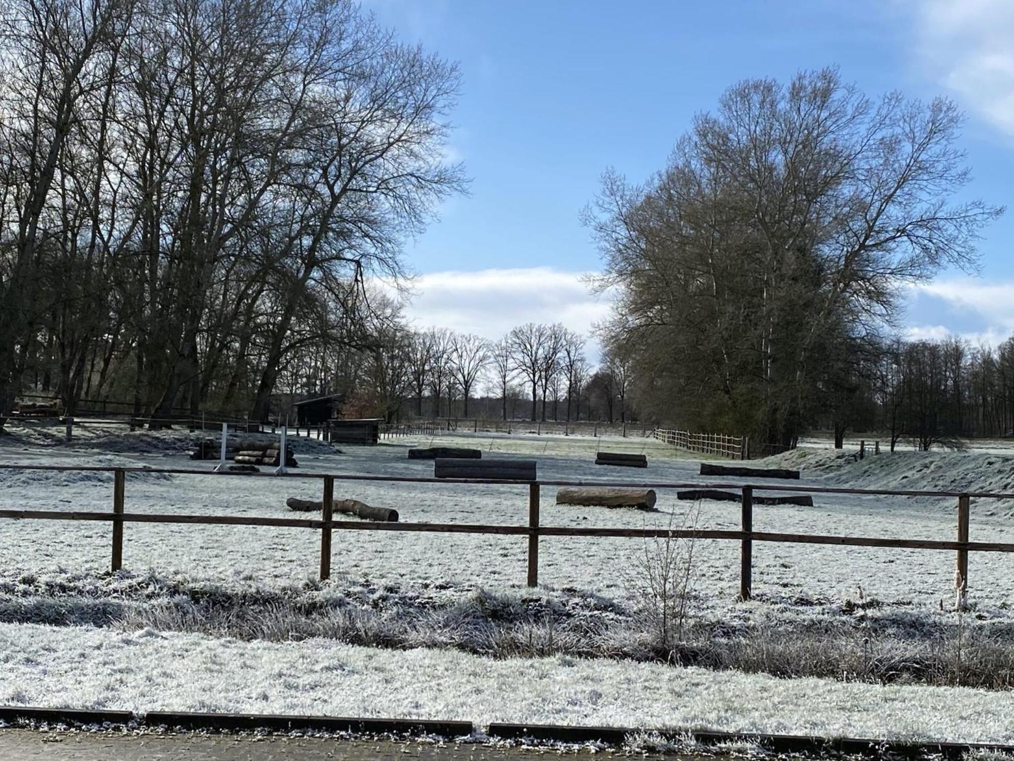 Cozy Holiday Home On A Horse Farm In The L Neburg Heath Eschede Экстерьер фото